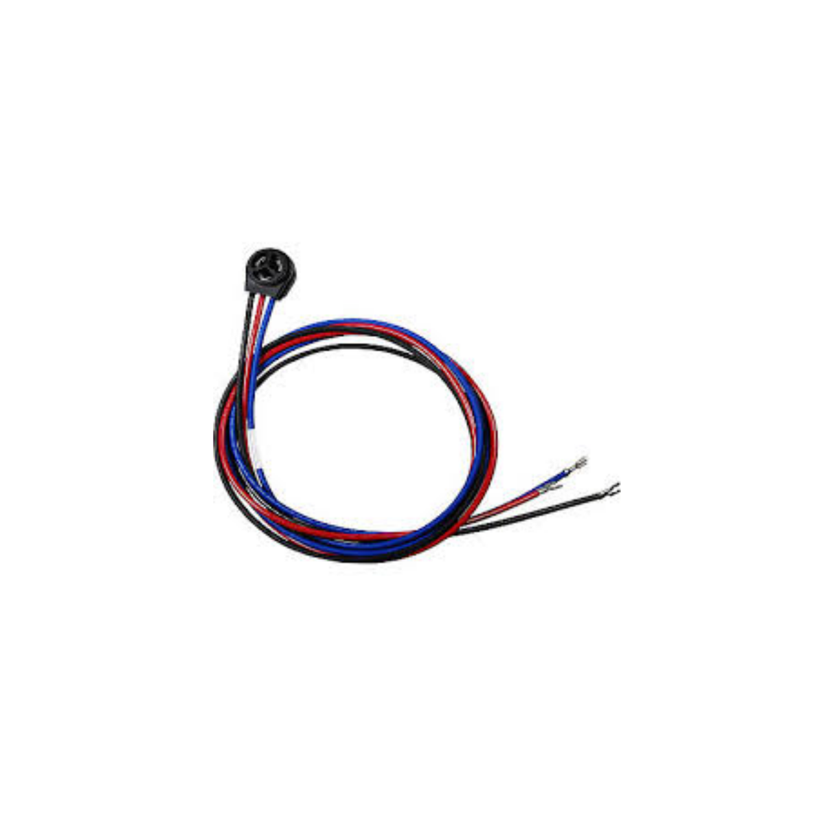 Danfoss 120Z5056 Molded Plug