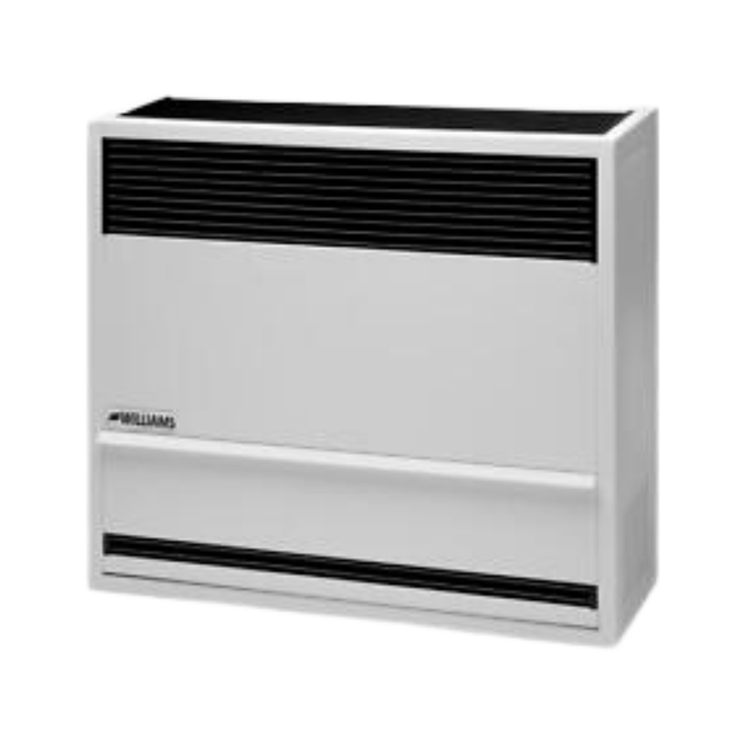 Williams Comfort Products 1403822 Garage Heater Direct NG 14000 BtuH