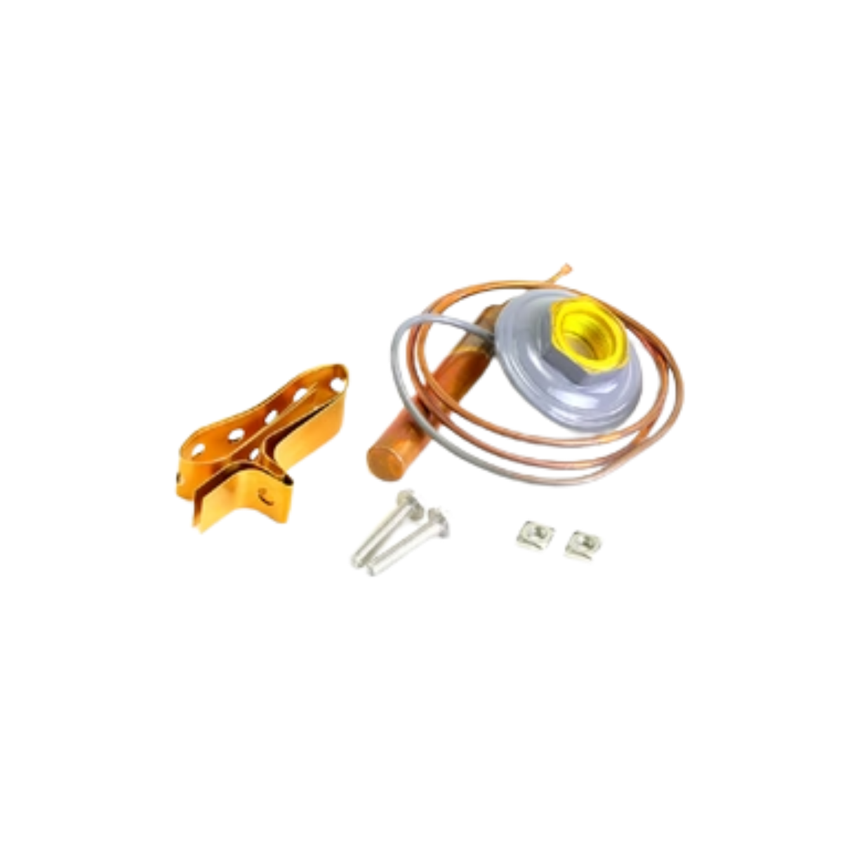 Sporlan Controls 183387 Element Kit