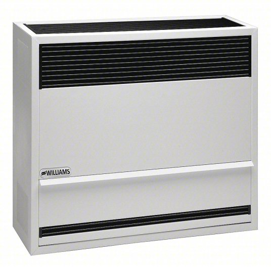 Williams 3003821 30,000 BTU - Gas Direct-Vent Wall Furnace - LP - 66% AFUE - Up To 2,000 Ft Altitude
