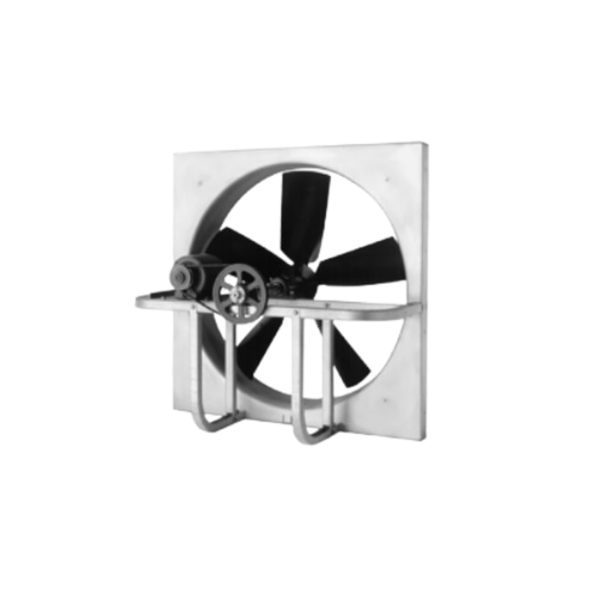 PennBarry P16Q1A 115 V 1750 RPM 3/4 HP Wall Mounted Fan