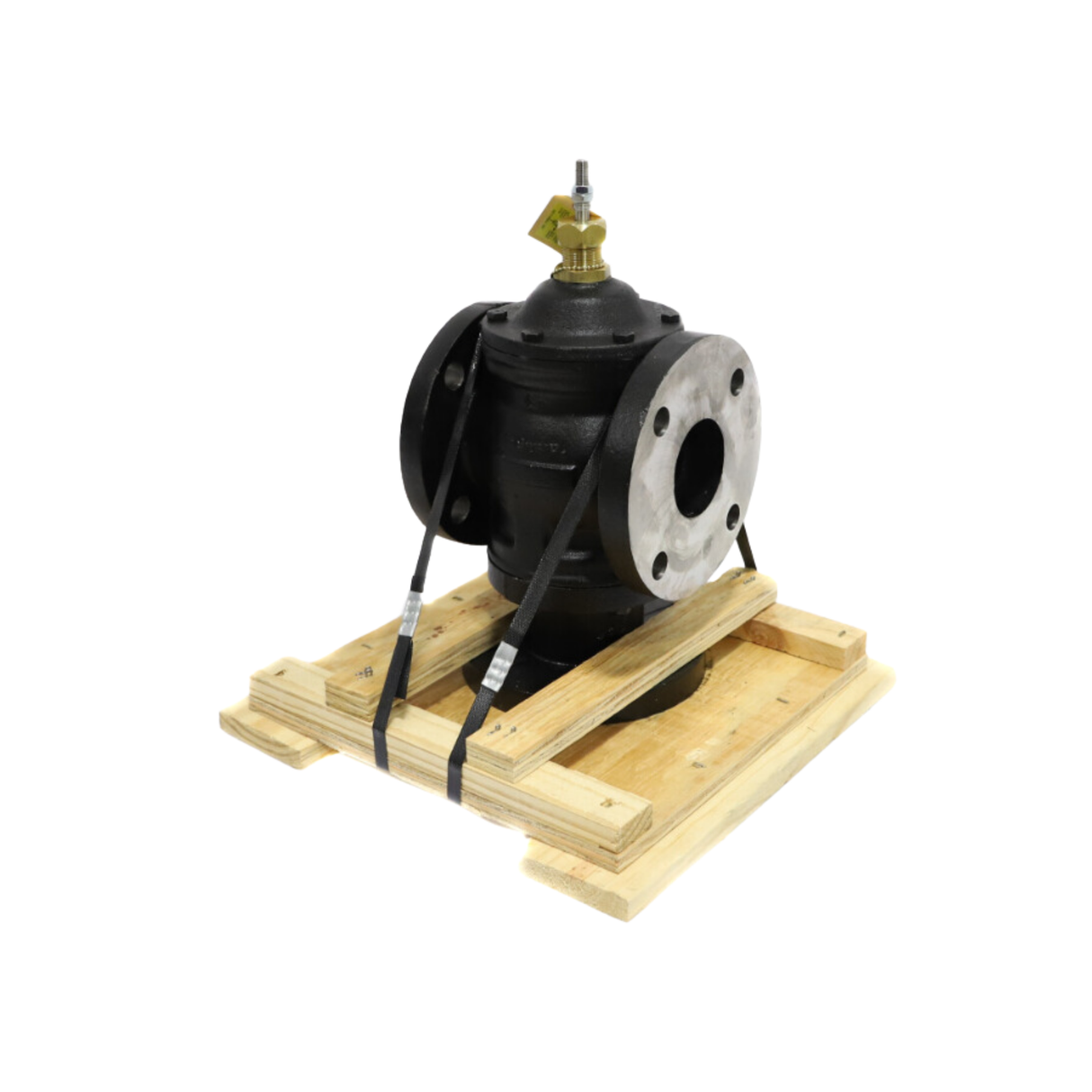 Johnson Controls VG2831TM 3 Way Mixing Flat-Faced Flange, ANSI Class 125, Modified Linear Flow, Globe, Valve with 3/8" Threaded Stem