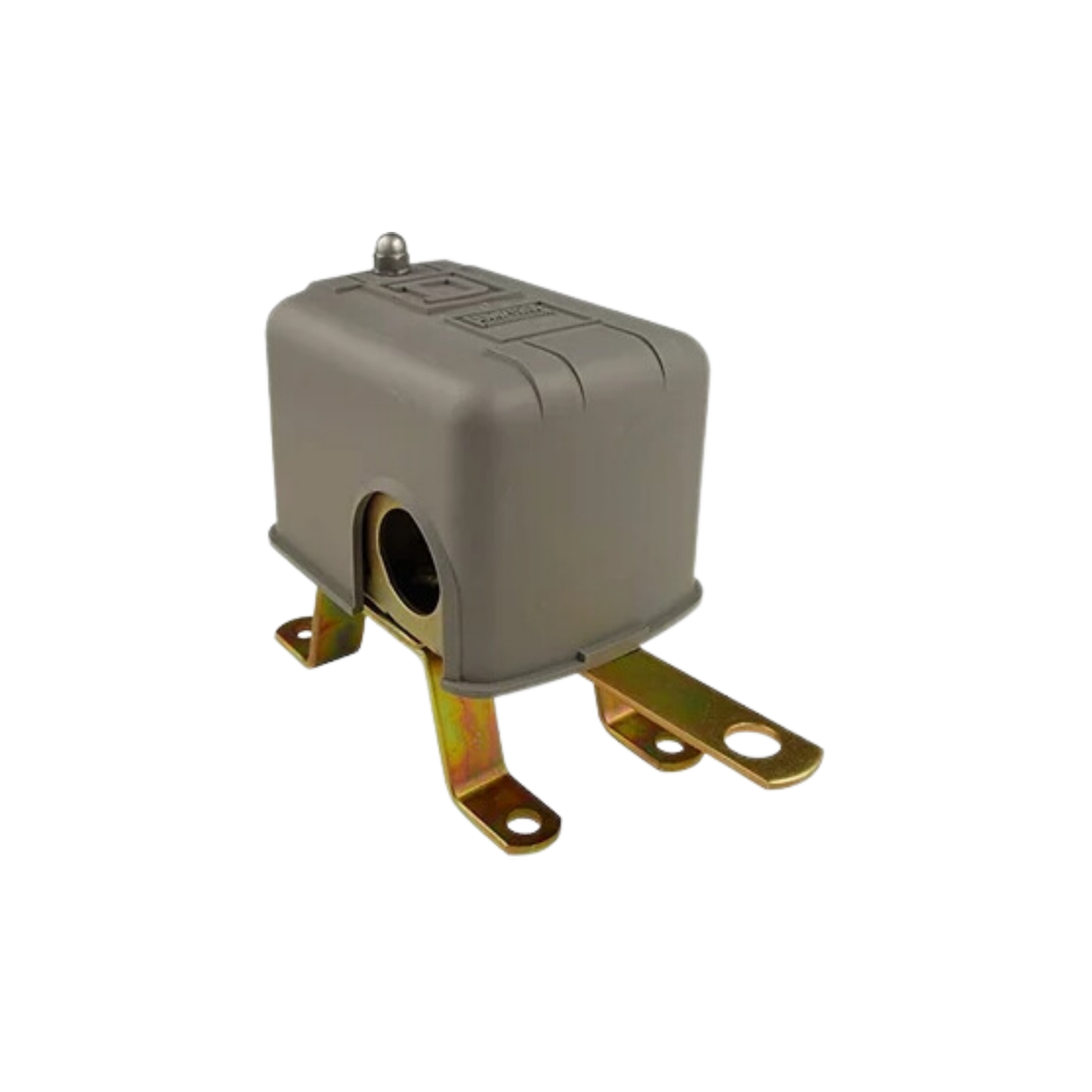 Schneider Electric (Square D) 9036GG2 Close on Rise Response, 2 Pole, Float Switch