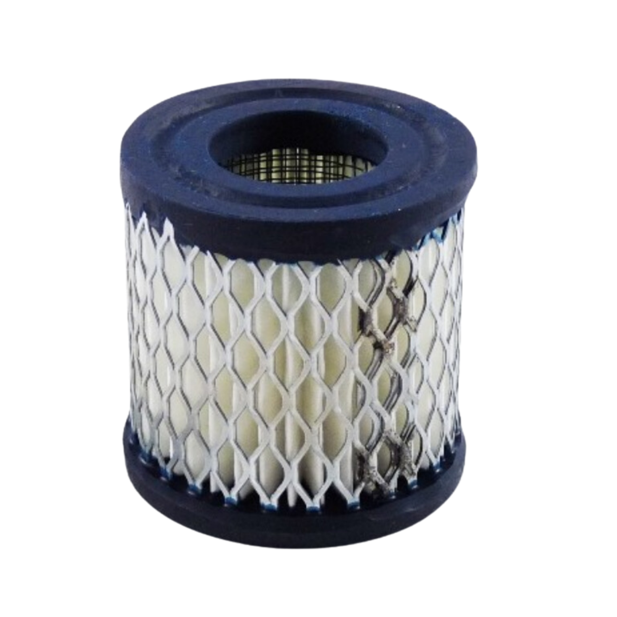 Johnson Controls F-1000-232 Filter Cartridge
