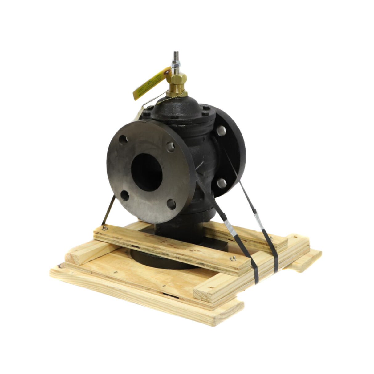 Johnson Controls VG2831TM 3 Way Mixing Flat-Faced Flange, ANSI Class 125, Modified Linear Flow, Globe, Valve with 3/8" Threaded Stem