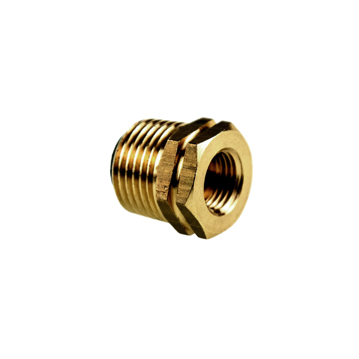 Weil McLain 383-500-275 Pressure/Temperature Gauge Check Valve