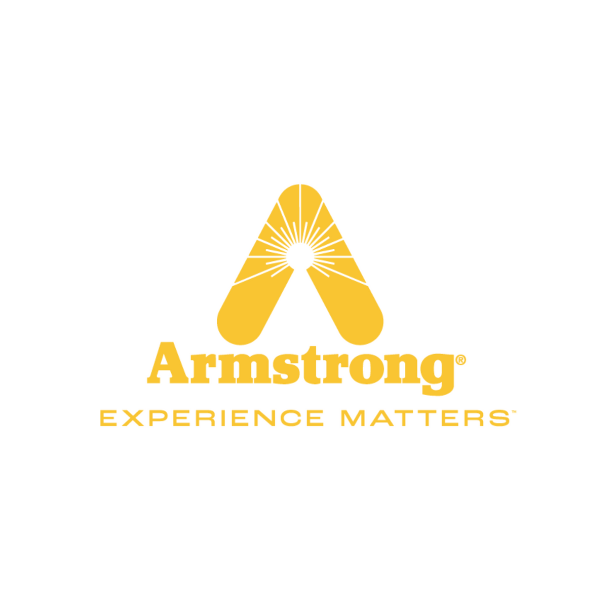 Armstrong International 812-1/2-250 1/2"NPT 250# InvertedBuckTrap