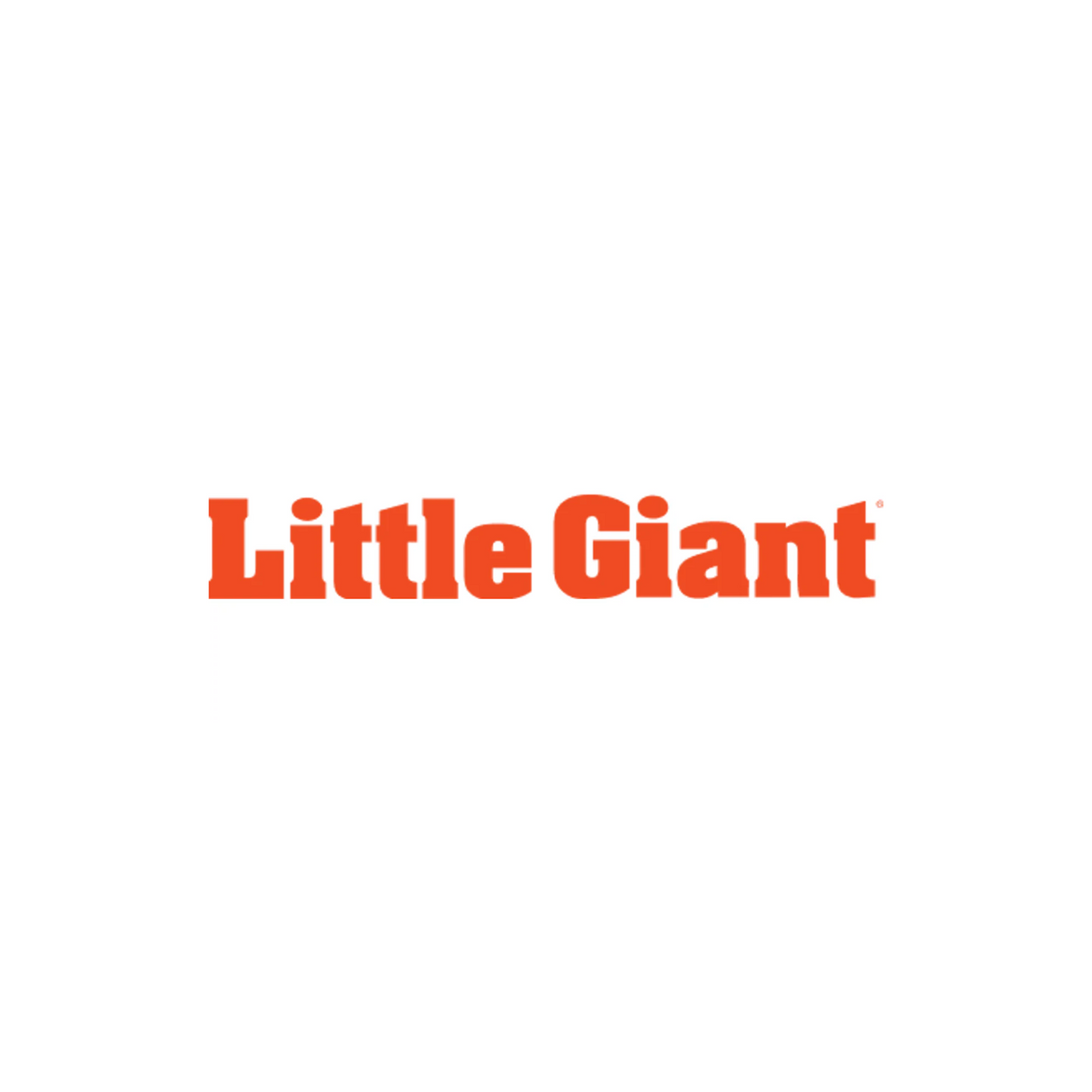 Little Giant 583613 230v 1/8hp 6' Cord Pump