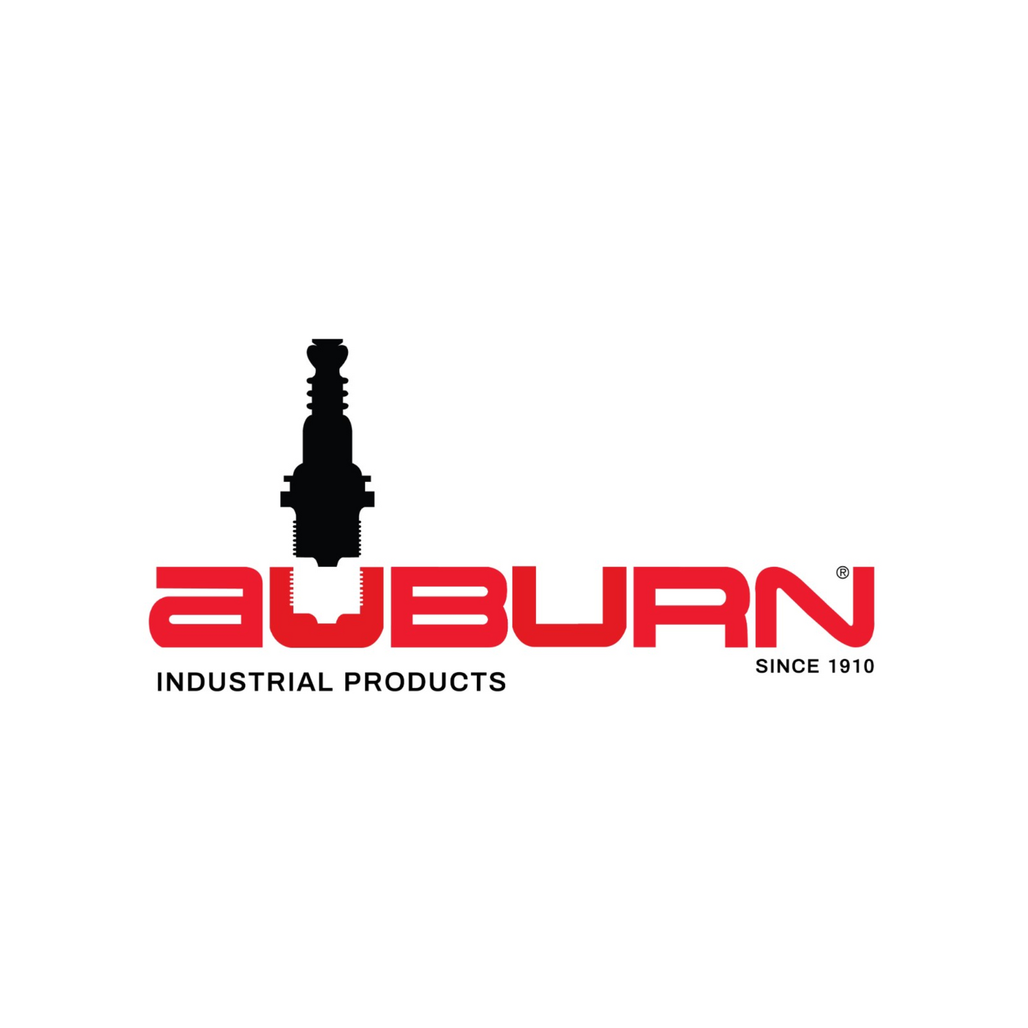 Auburn E5-205M-2PK Cleaver Brooks Electrode 2PK