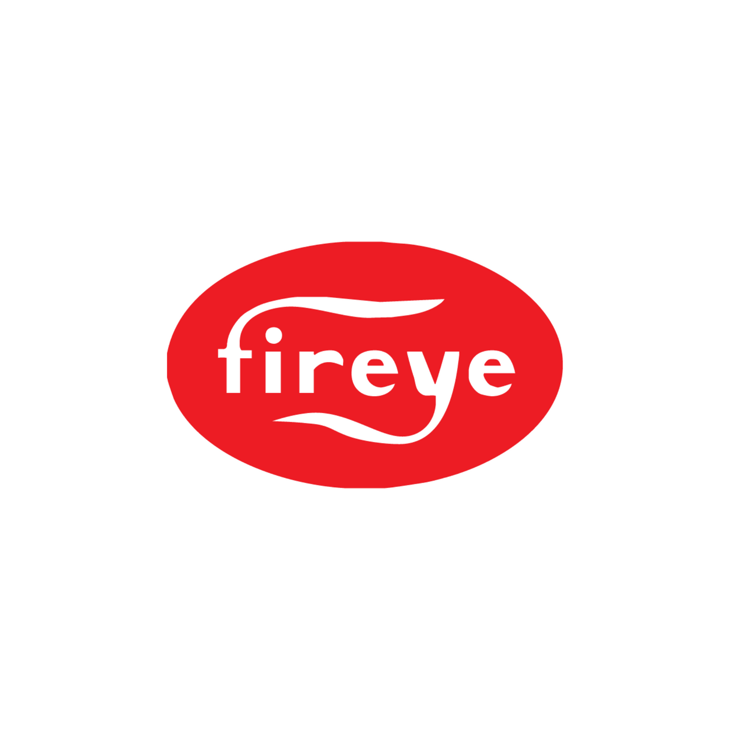 Fireye MEP106 MICRO M PROGRAMMER, Relight