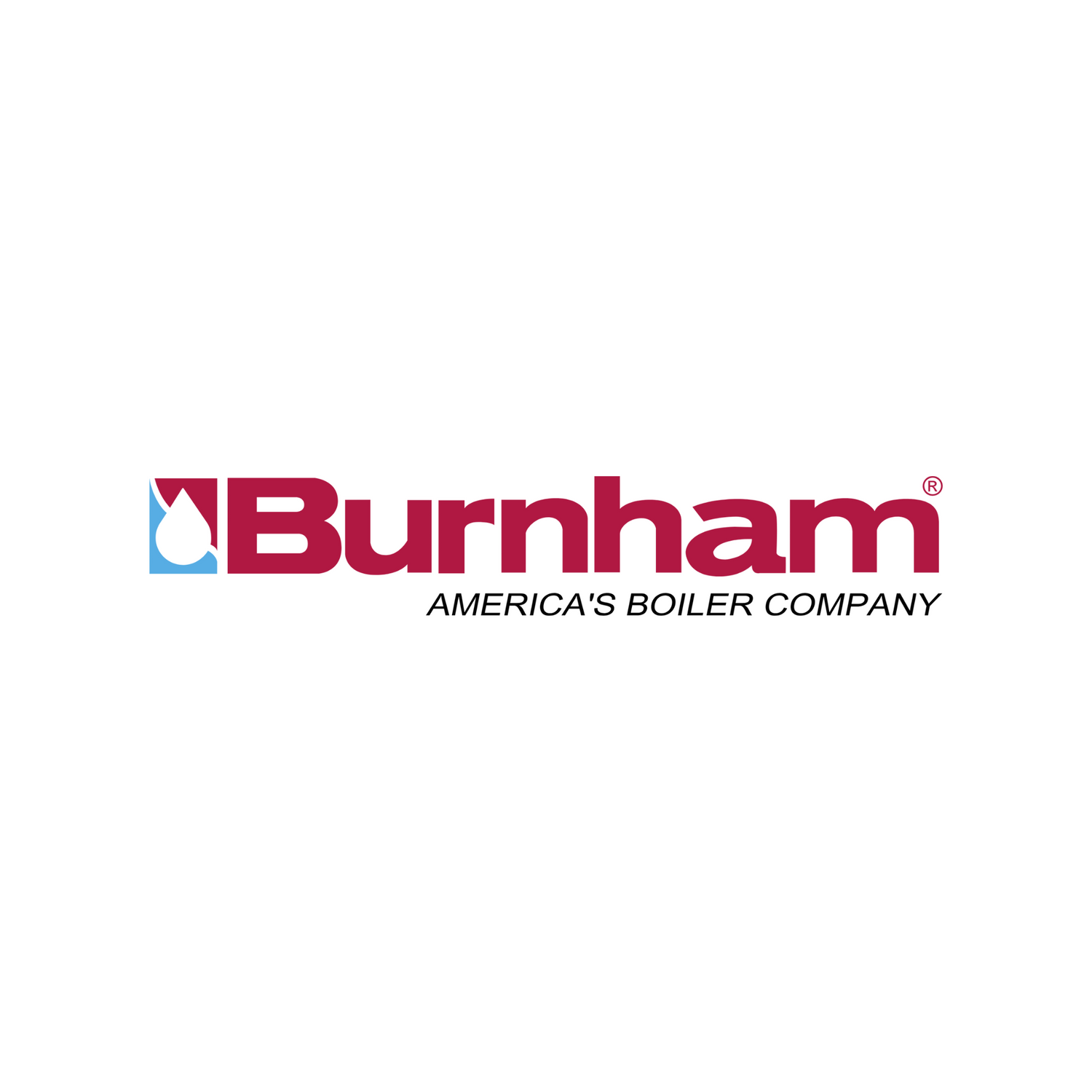 Burnham Boiler 106231-05 GAS CONVERSION KIT LP TO NAT