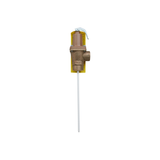 Watts 0556019 1" NPT 210 Degrees F 75 to 150 PSI Lead Free Bronze Automatic Reseating Temperature And Pressure Relief Valve