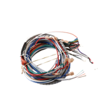 Lochinvar & A.O. Smith 100351312 Low Voltage Harness