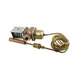 Johnson Controls V47AB-3 1/2" NPT Opening Point Diameter, Cast Brass, Direct Acting Temperature Actuated, Water Regulating Valve