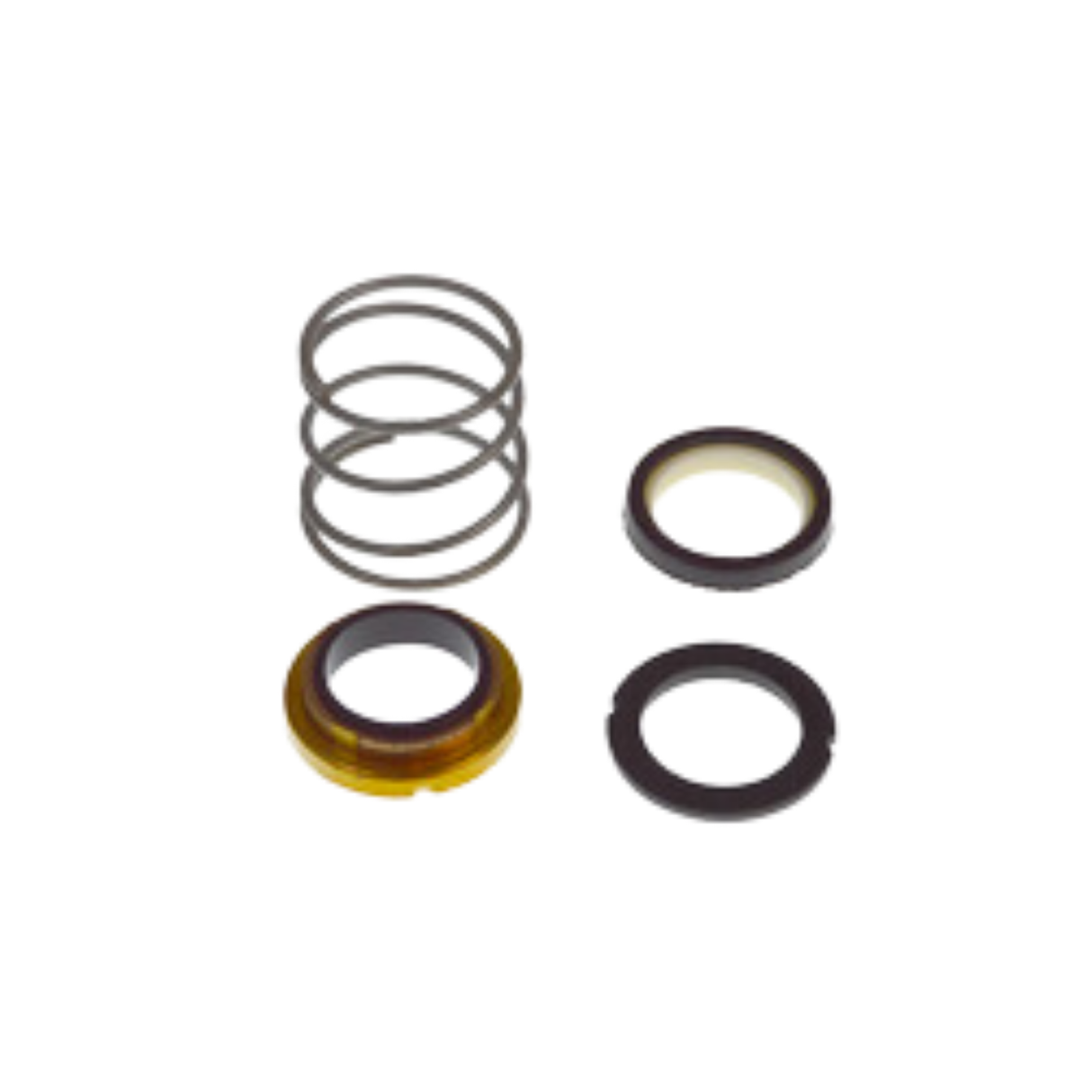 Xylem-Bell & Gossett 186862LF 1 1/4" Seal Kit