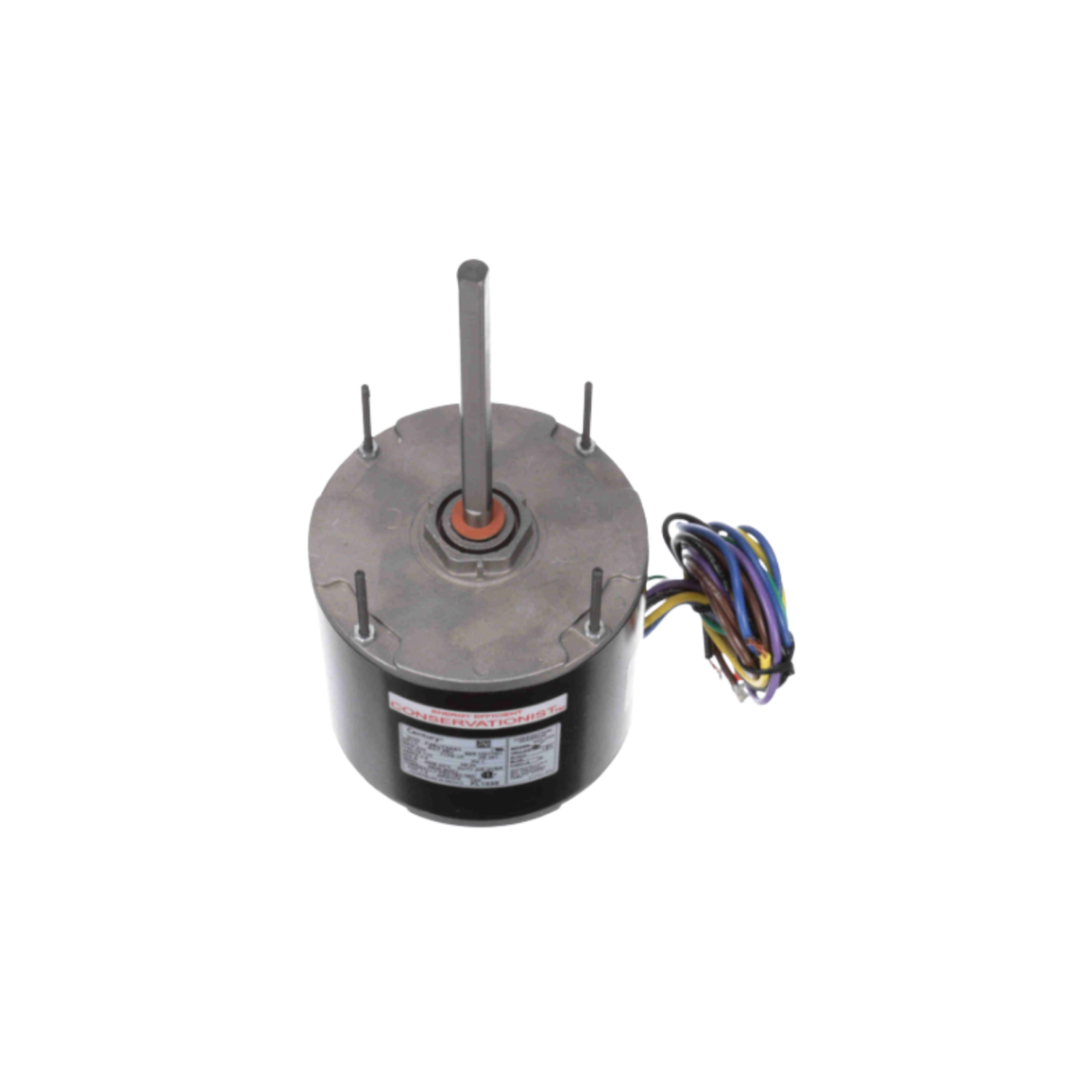 Regal Rexnord - Century Motors FL1038 115 V 60 Hz 825 RPM 1/3 HP Reversible Motor