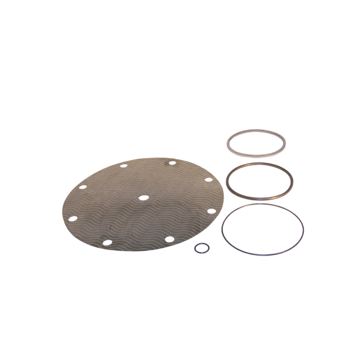 Watts 3302-01 Repair Kit For 4" ACV-9006-03