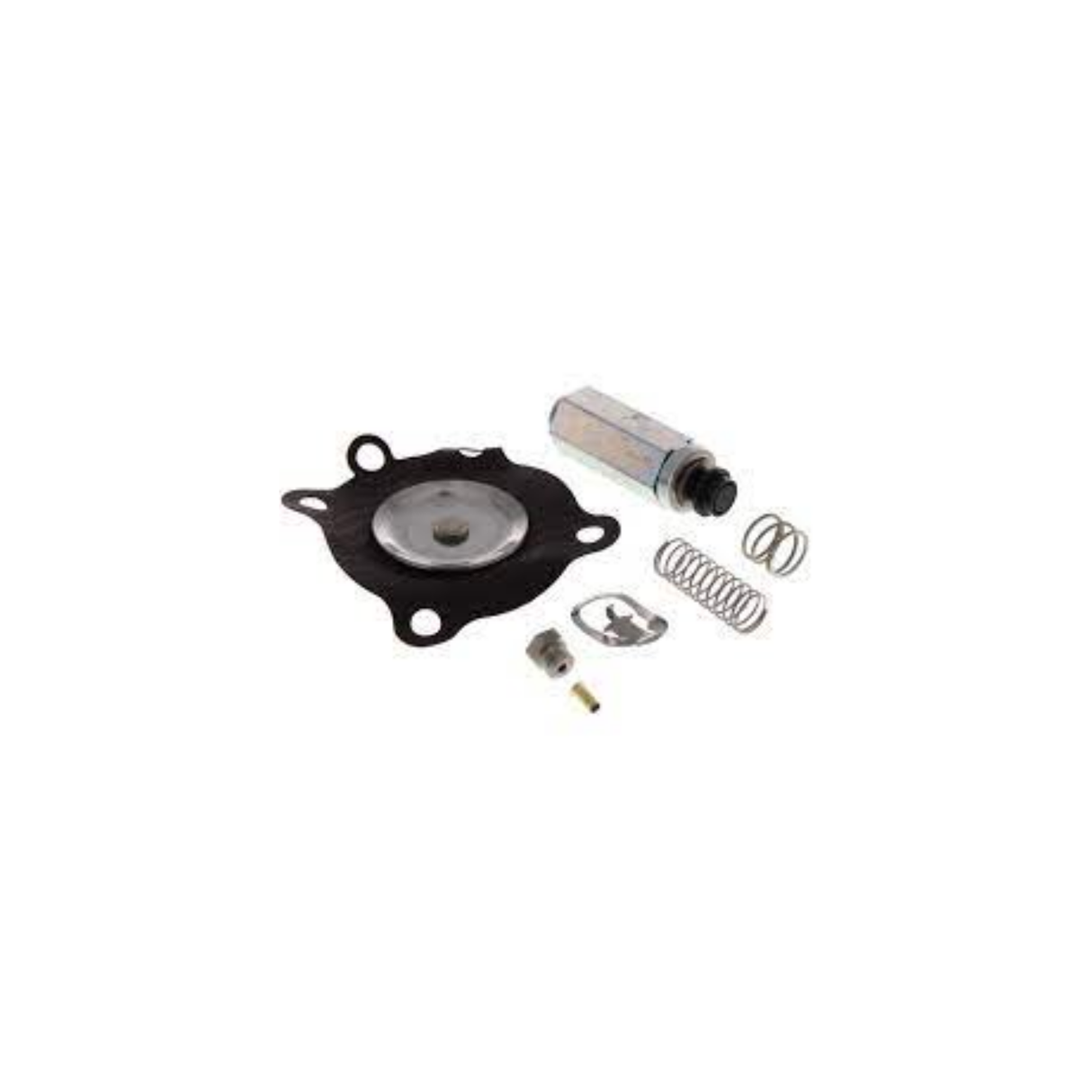 Asco 302-338 Rebuild Kit