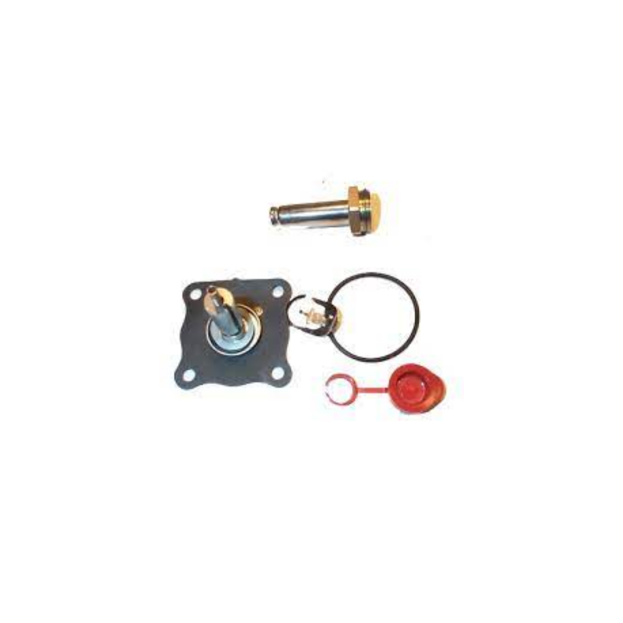 Asco 304-031 Rebuild Kit