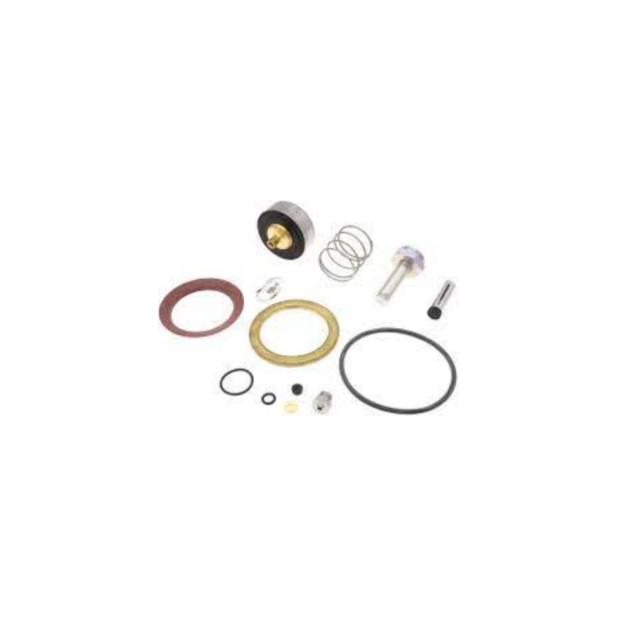 Asco 310-420 Rebuild Kit