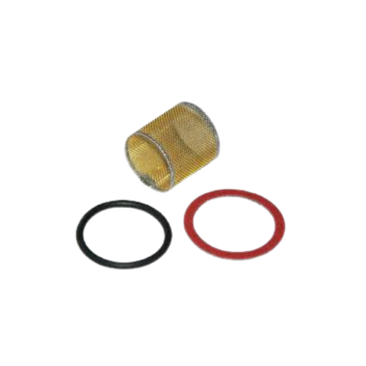 Xylem-Bell & Gossett 118036 Stainer and Gasket