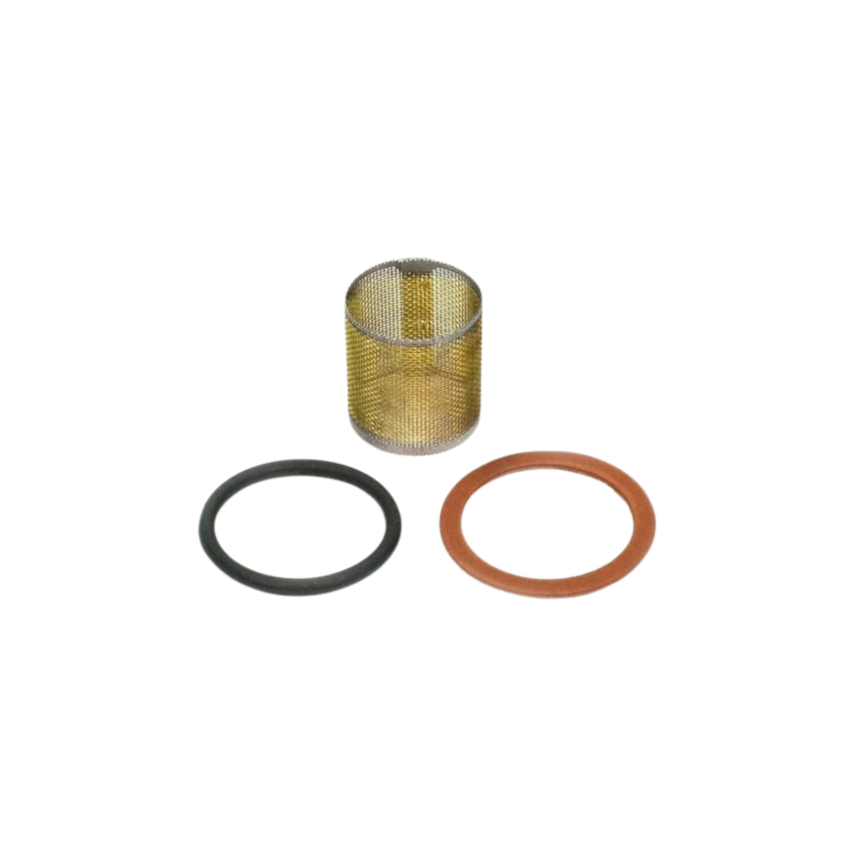 Xylem-Bell & Gossett 118036 Stainer and Gasket