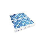 Liebert 195545P1 25" x 20" x 4" Air Filter