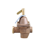 Watts 0386423 1/2" 100 PSI Bronze Body, EPDM Disc, Stainless Steel Strainer High Capacity Feed Water Pressure Regulator