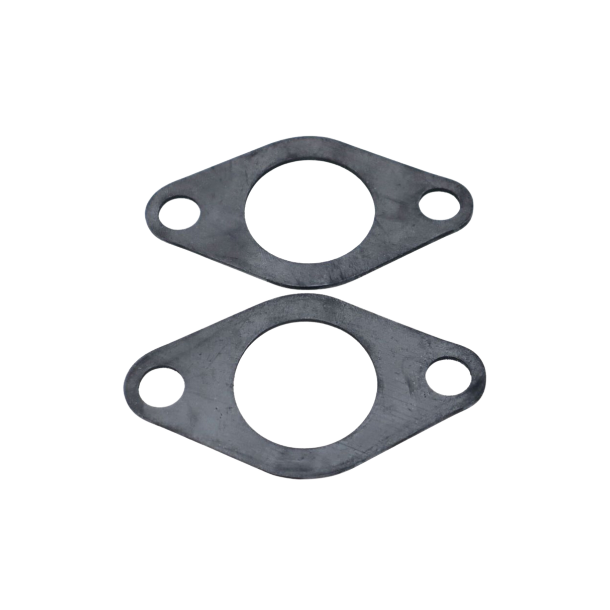 Raypak 012596F Flange Pump Gasket Kit