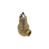 Conbraco Industries 10-615-05 Pressure Relief Valve