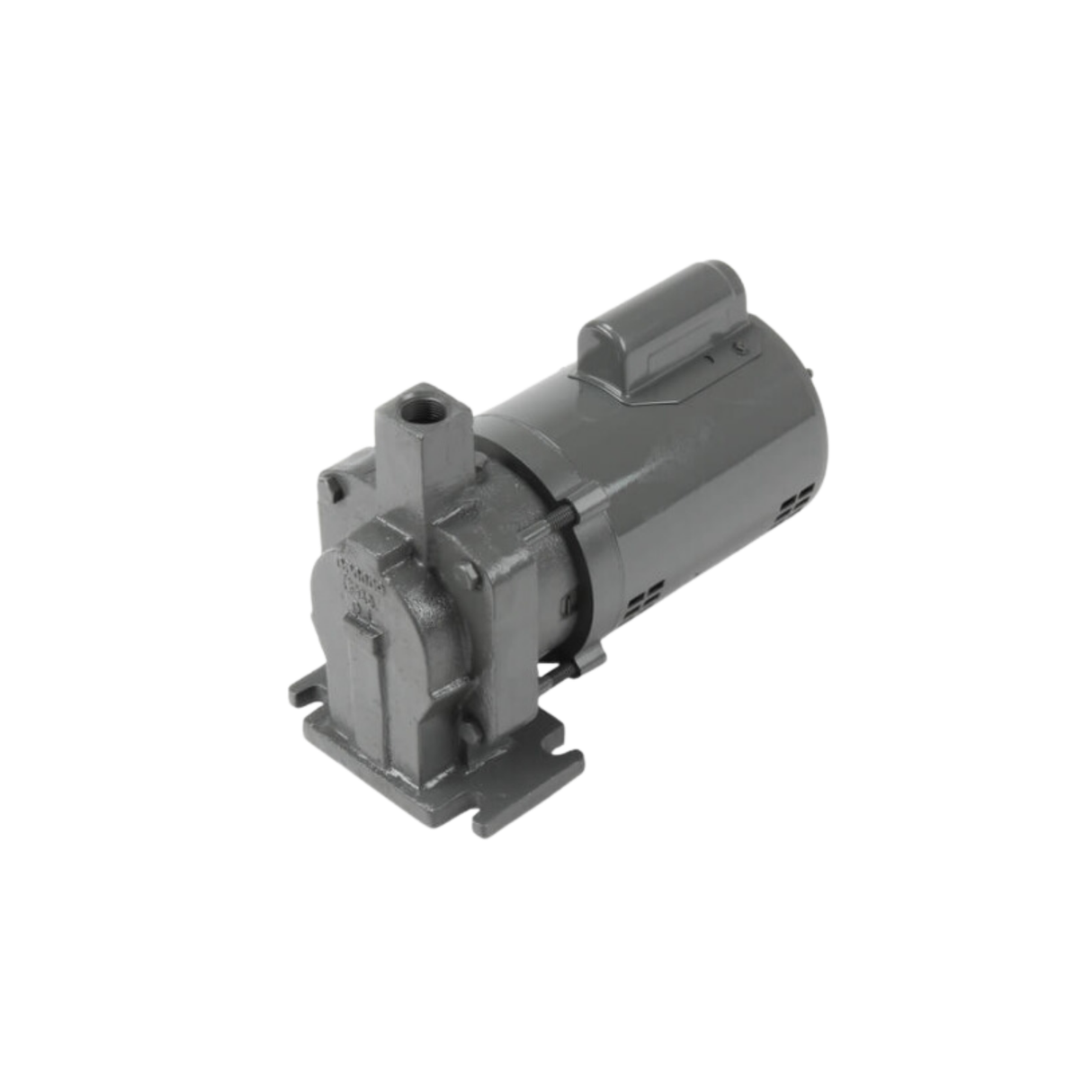 Xylem-Hoffman Specialty 180001 Pump & Motor