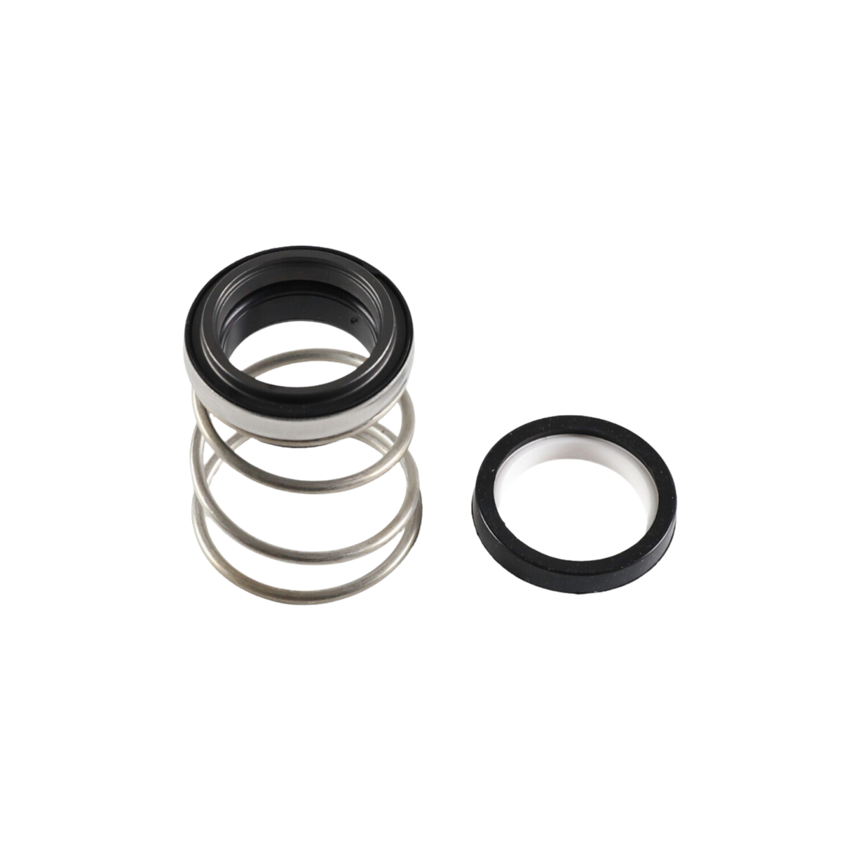 Xylem-Bell & Gossett 186860 1 1/4" Seal Kit