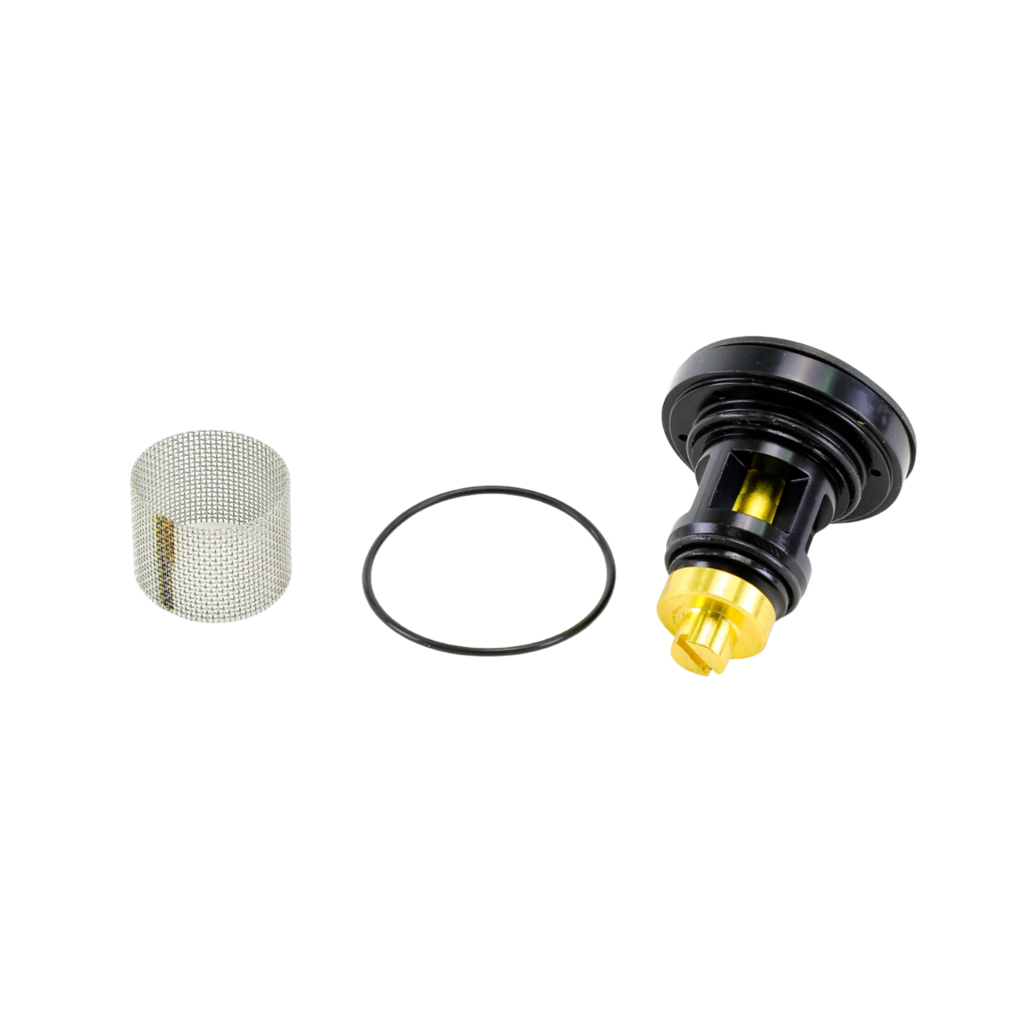 Watts 0006960 N55B-RK Series, Repair Kit