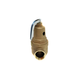 Conbraco Industries 10-615-05 Pressure Relief Valve