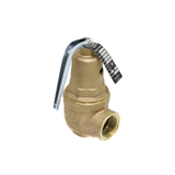 Conbraco Industries 10-614-05 Pressure Relief Valve