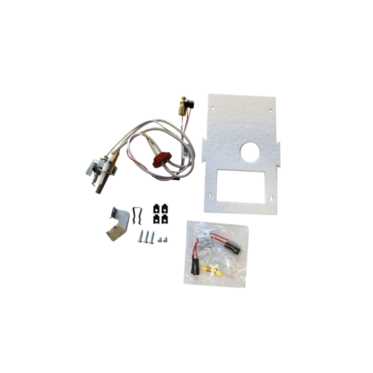 Rheem-Ruud SP21058 Pilot Assembly Replacement Kit – Snook & Aderton ...