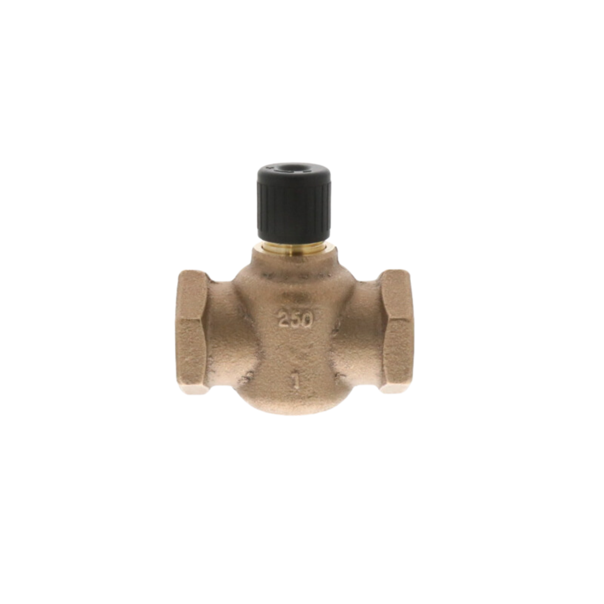 Siemens Building Technology 599-02063 35-250 Degree Fahrenheit Medium, FxF, 25 DN, 10 Cv, 2-Way Globe Valve