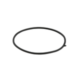 Lochinvar & A.O. Smith 100208093 Door Gasket