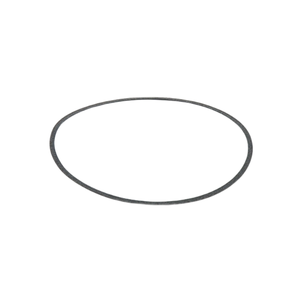 Armstrong Fluid Technology 106158-000 Volute Body Gasket