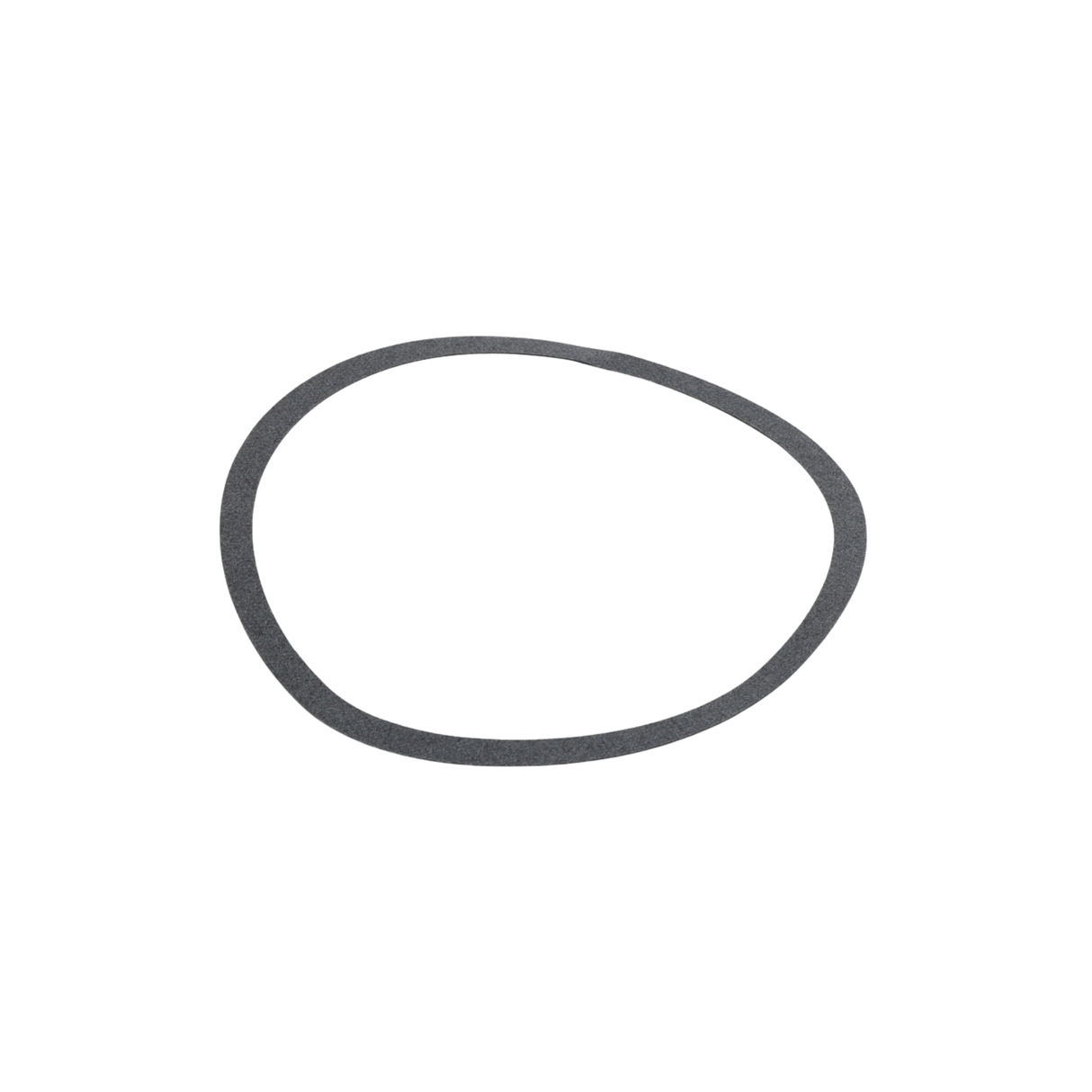 Armstrong Fluid Technology 106592-000 Body Gasket