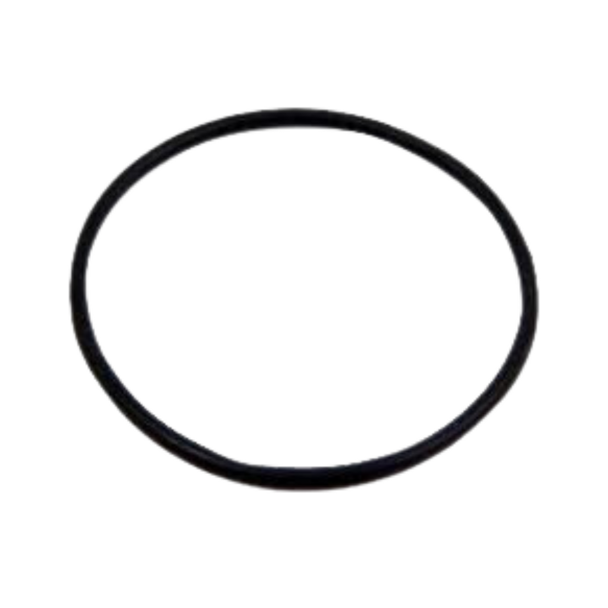 Honeywell 0900748 Sump O-Ring For F76S (M10)