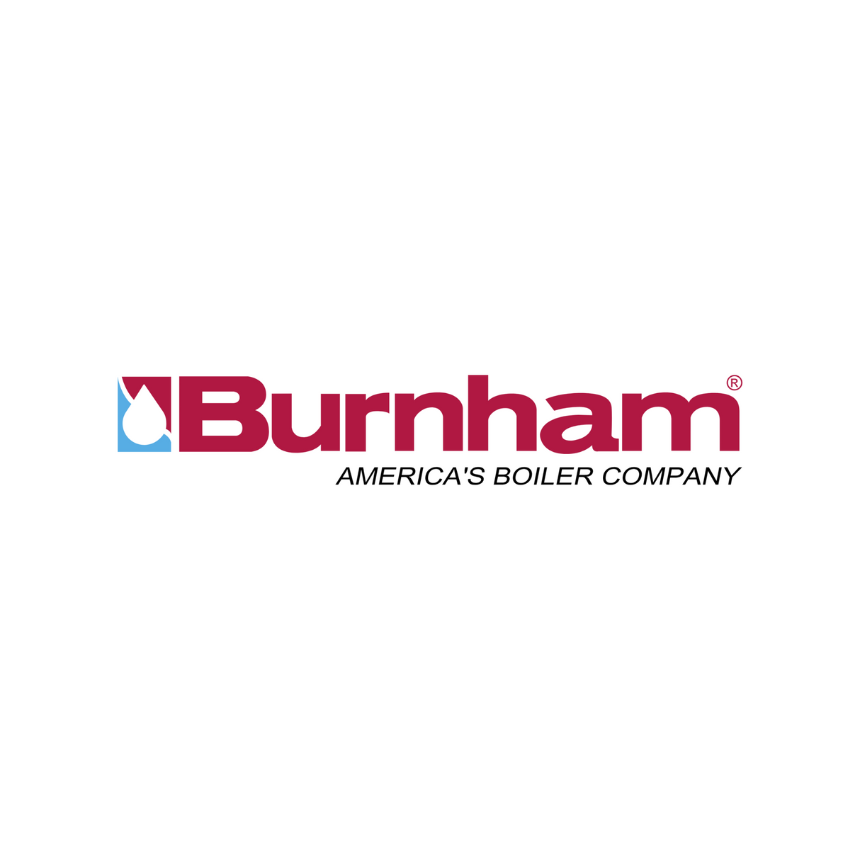 Burnham Boiler 107877-01 Control Board