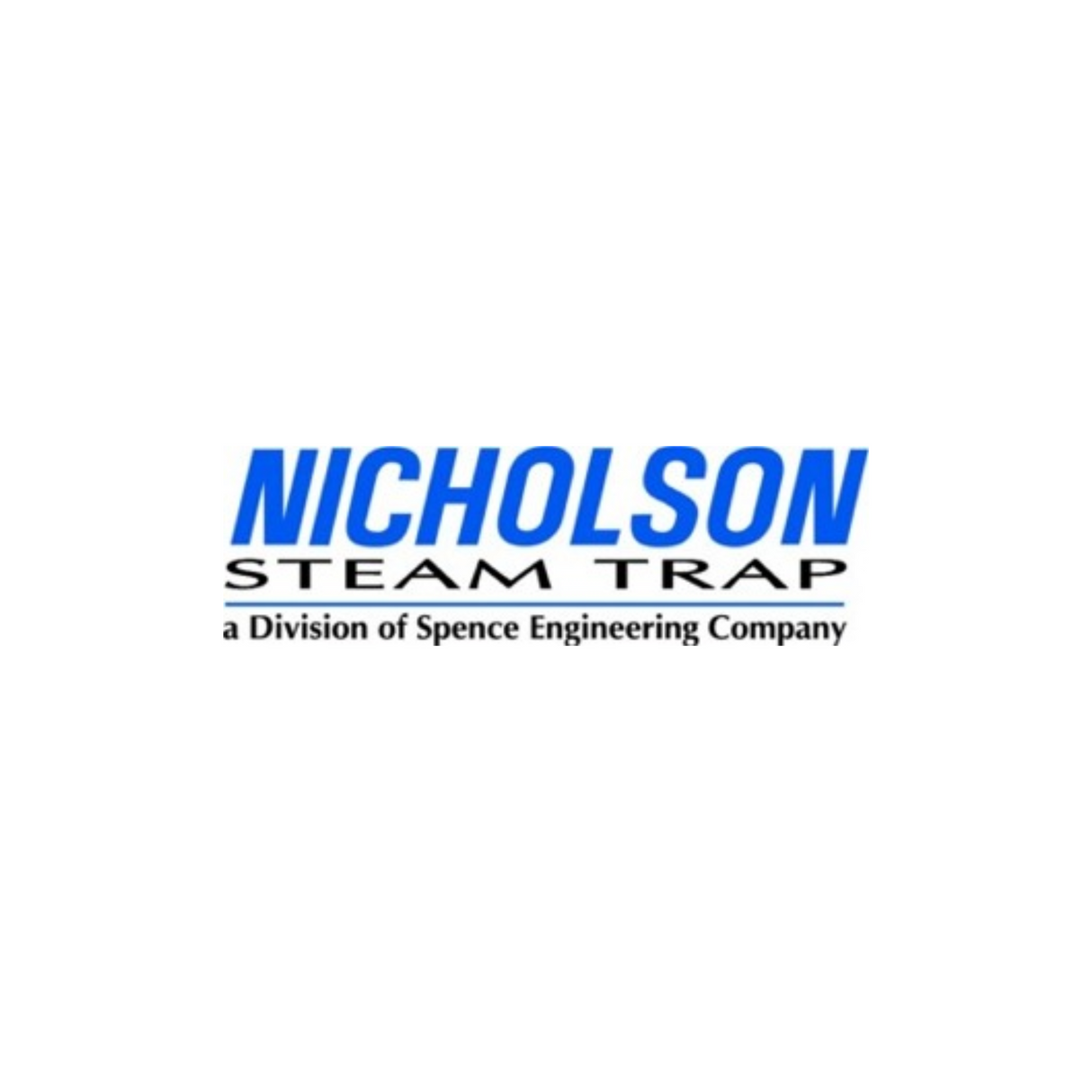 Nicholson Steam Trap Company TA500-T4E92A0 1" FO THERMOSTATIC STEAM TRAP