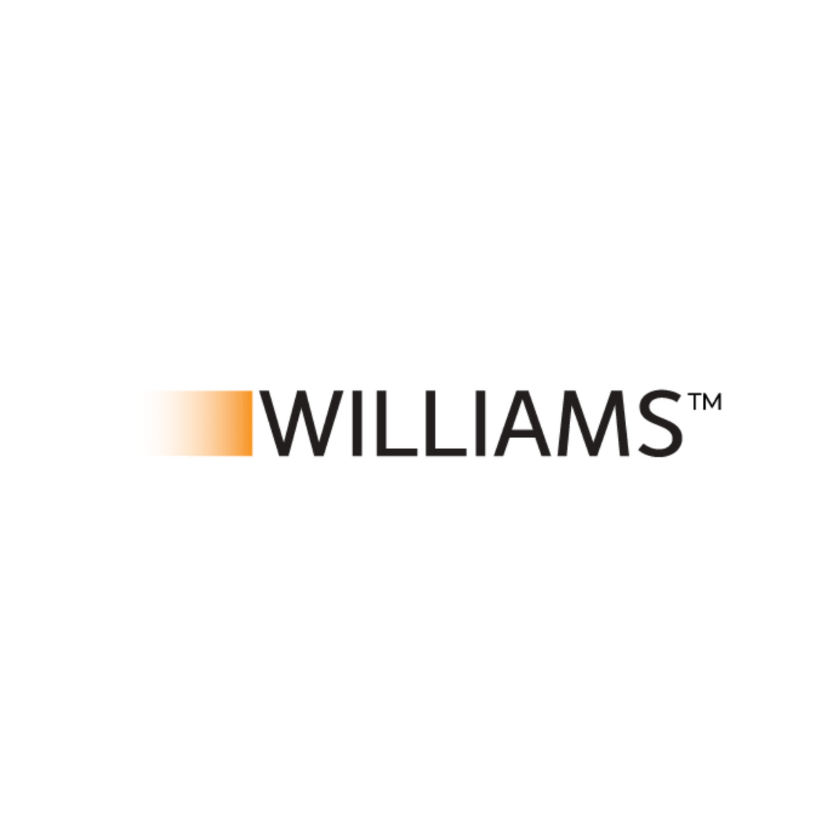 Williams Comfort Products 26B099 Hearth Assembly