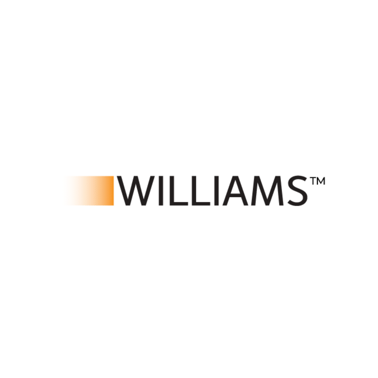 Williams Comfort Products 1056512.9 Gas Heater