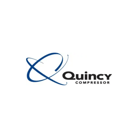 Quincy Compressor 2024300456 VALVE REPLACEMENT ASSEMBLY NAT