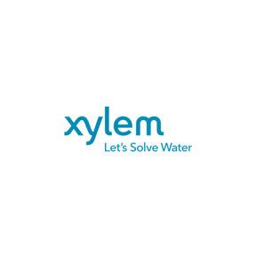 Xylem - Hoffman Specialty 699951 PLUG & SEAT KIT FOR 2200FP 2.5